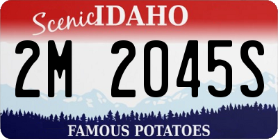 ID license plate 2M2045S