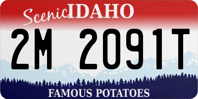 ID license plate 2M2091T