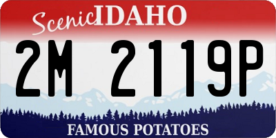 ID license plate 2M2119P