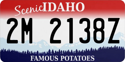 ID license plate 2M2138Z