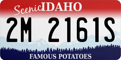 ID license plate 2M2161S