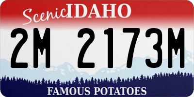 ID license plate 2M2173M