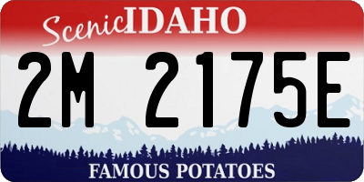 ID license plate 2M2175E