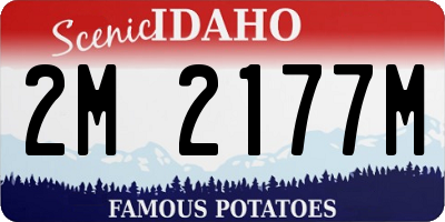ID license plate 2M2177M