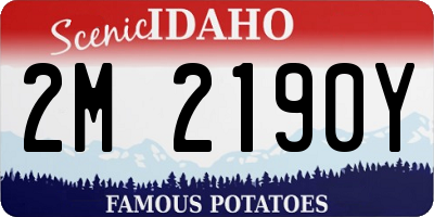 ID license plate 2M2190Y