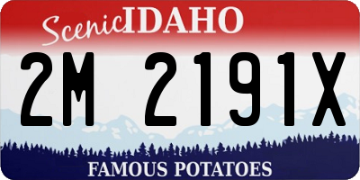 ID license plate 2M2191X