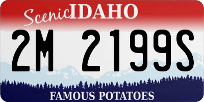 ID license plate 2M2199S