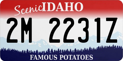 ID license plate 2M2231Z