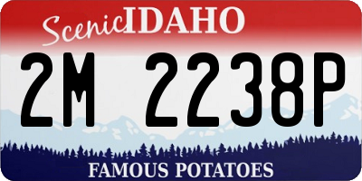 ID license plate 2M2238P
