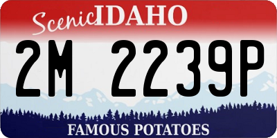 ID license plate 2M2239P