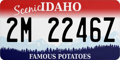 ID license plate 2M2246Z