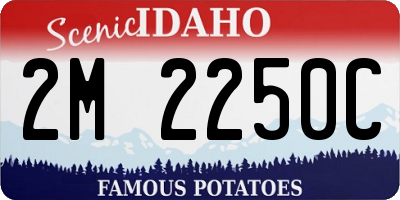 ID license plate 2M2250C
