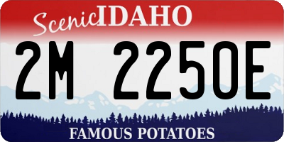 ID license plate 2M2250E
