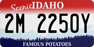 ID license plate 2M2250Y