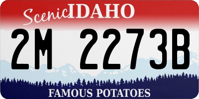 ID license plate 2M2273B