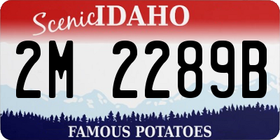 ID license plate 2M2289B