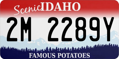 ID license plate 2M2289Y