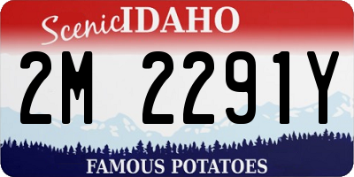 ID license plate 2M2291Y