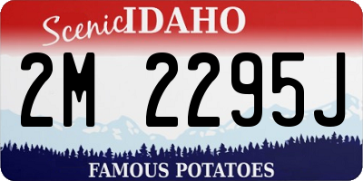 ID license plate 2M2295J