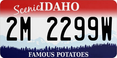 ID license plate 2M2299W
