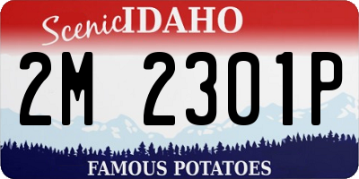 ID license plate 2M2301P
