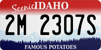 ID license plate 2M2307S