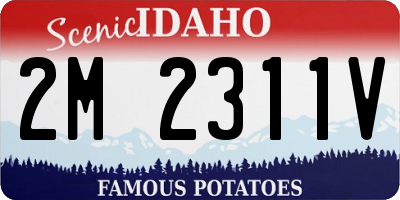 ID license plate 2M2311V