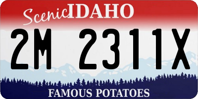 ID license plate 2M2311X