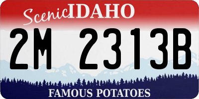 ID license plate 2M2313B