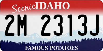 ID license plate 2M2313J