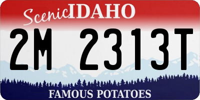 ID license plate 2M2313T