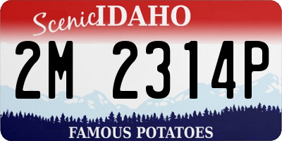 ID license plate 2M2314P