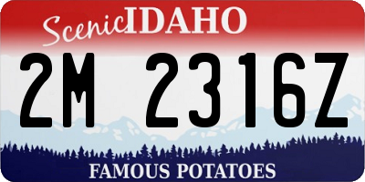 ID license plate 2M2316Z
