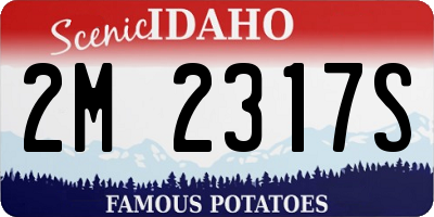ID license plate 2M2317S