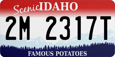 ID license plate 2M2317T