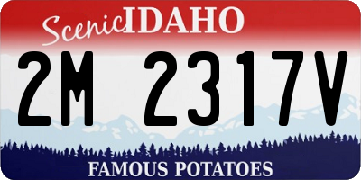 ID license plate 2M2317V