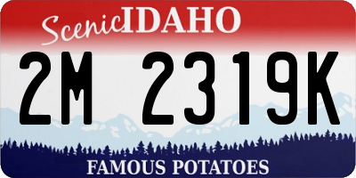 ID license plate 2M2319K
