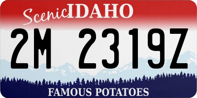 ID license plate 2M2319Z