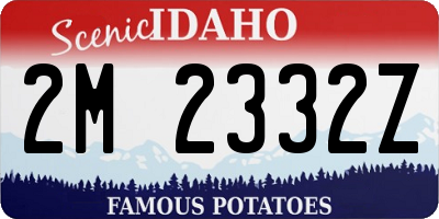 ID license plate 2M2332Z