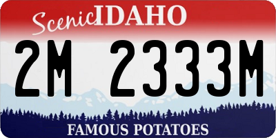 ID license plate 2M2333M
