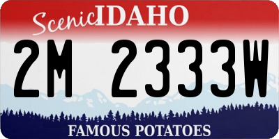 ID license plate 2M2333W