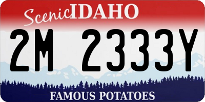 ID license plate 2M2333Y
