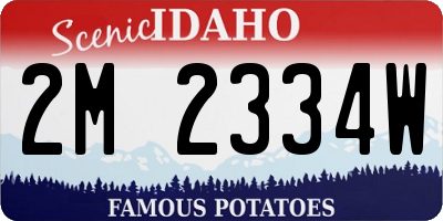 ID license plate 2M2334W