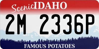 ID license plate 2M2336P