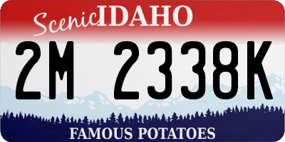 ID license plate 2M2338K