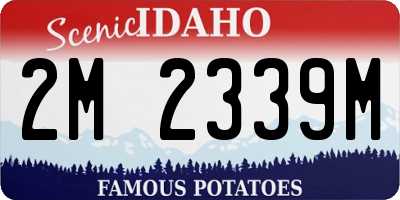 ID license plate 2M2339M