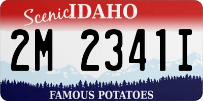 ID license plate 2M2341I