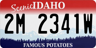ID license plate 2M2341W