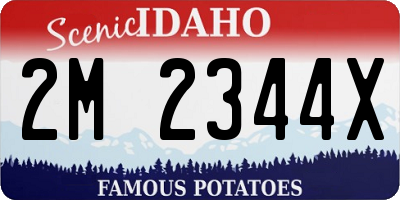 ID license plate 2M2344X