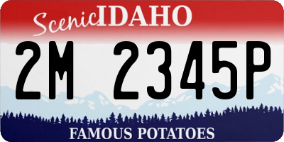 ID license plate 2M2345P
